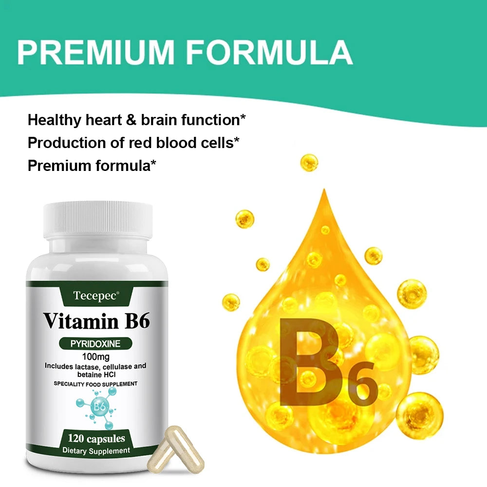Vitamin B6 Supplements - Supports The Immune System, Nervous System, Energy Metabolism, Healthy Mood