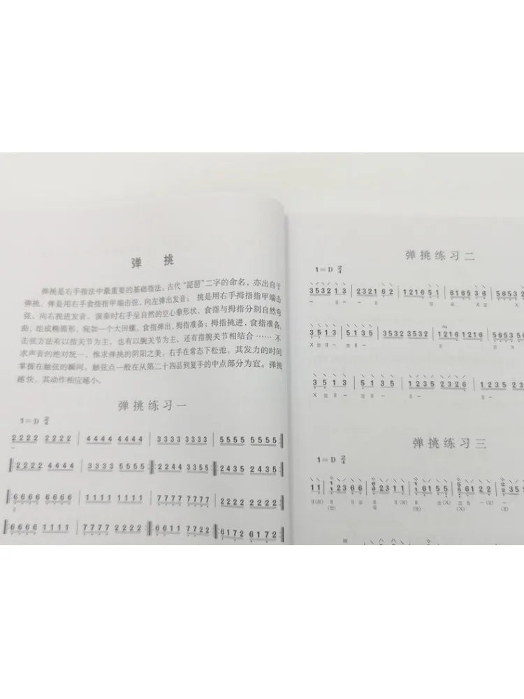 Book-Winshare Chinese Pipa Grading Exam Practice Pieces